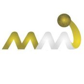 MMI Logo